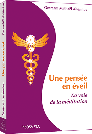 Une pensée en éveil - La voie de la méditation